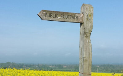 Surrey’s existing County, Borough and District Councils will cease to be in May 2027